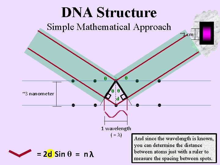 DNA Structure Simple Mathematical Approach θ θ ~3 nanometer θ θ d 1 wavelength