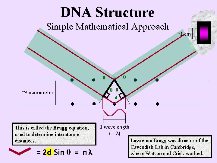 DNA Structure Simple Mathematical Approach θ θ ~3 nanometer This is called the Bragg