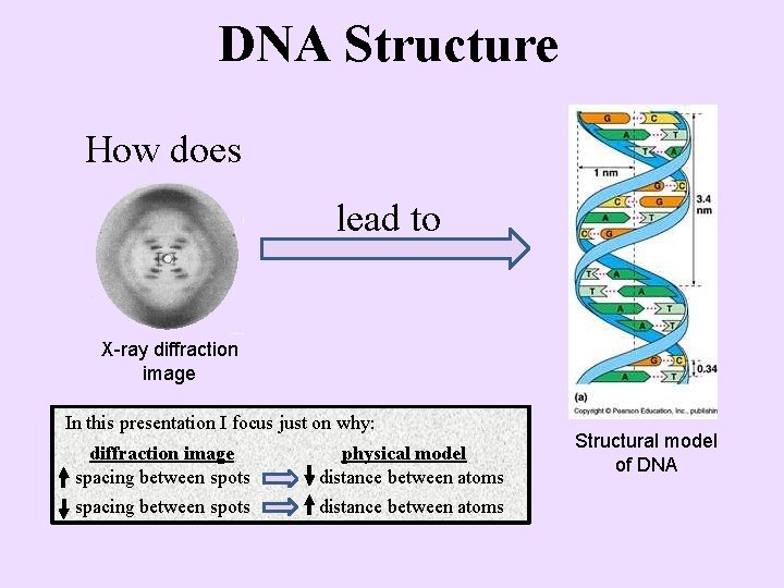 DNA Structure How does lead to X-ray diffraction image In this presentation I focus