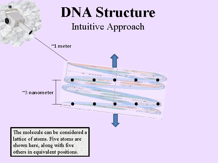 DNA Structure Intuitive Approach ~1 meter ~3 nanometer The molecule can be considered a