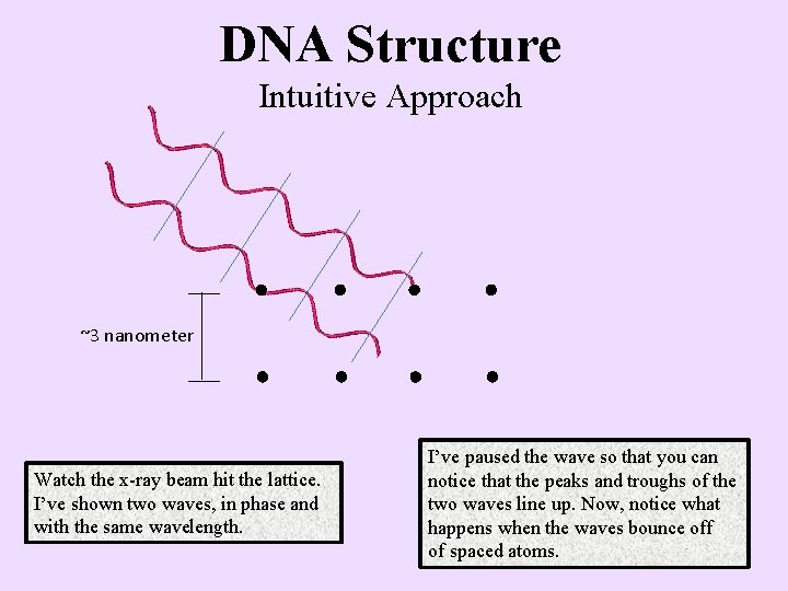 DNA Structure Intuitive Approach ~3 nanometer Watch the x-ray beam hit the lattice. I’ve