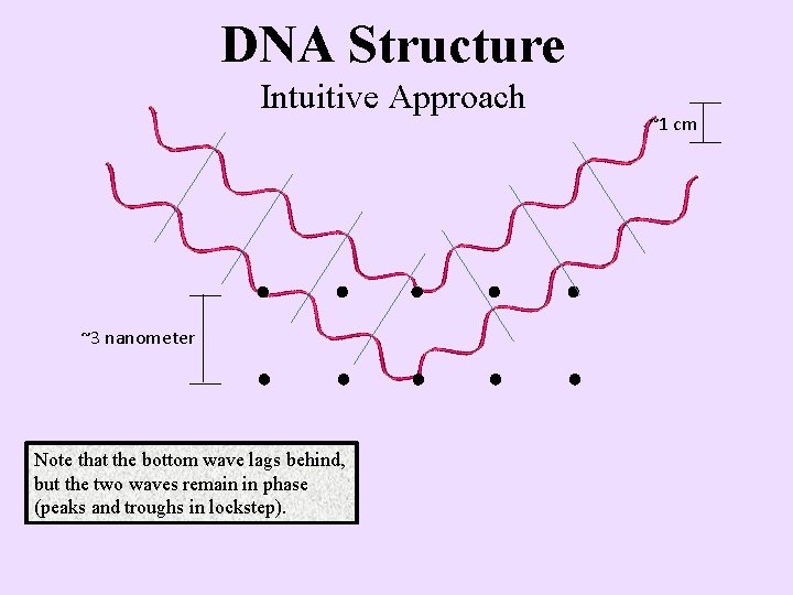 DNA Structure Intuitive Approach ~3 nanometer Note that the bottom wave lags behind, but