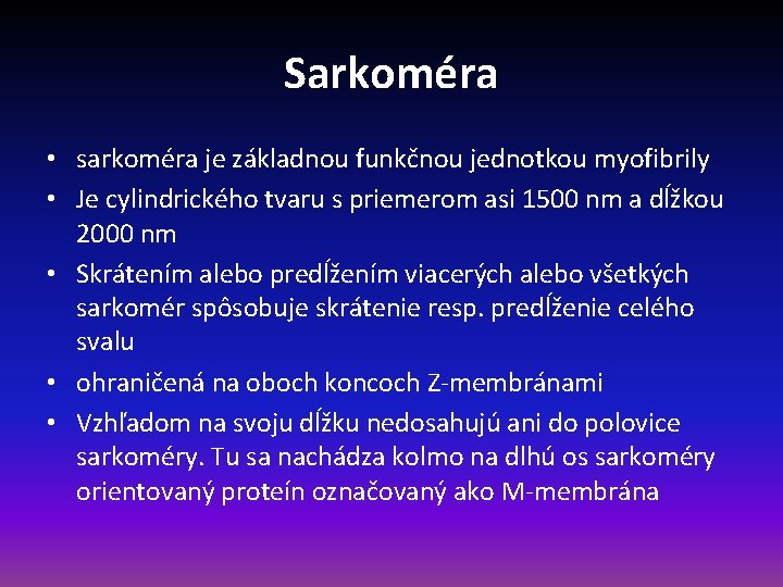 Sarkoméra • sarkoméra je základnou funkčnou jednotkou myofibrily • Je cylindrického tvaru s priemerom