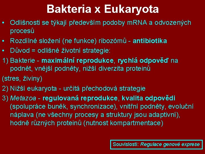 Bakteria x Eukaryota • Odlišnosti se týkají především podoby m. RNA a odvozených procesů Bakteria x Eukaryota • Odlišnosti se týkají především podoby m. RNA a odvozených procesů