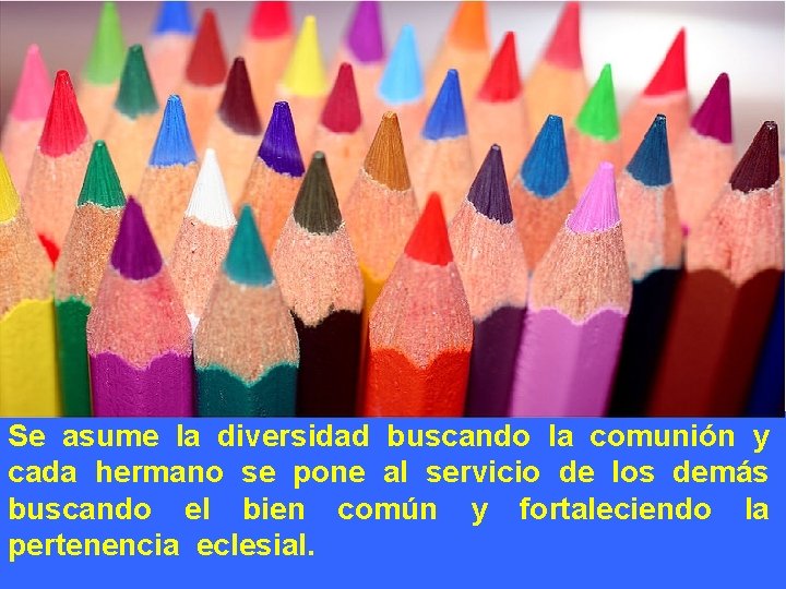 Se asume la diversidad buscando la comunión y cada hermano se pone al servicio