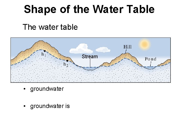 Shape of the Water Table The water table Stream • groundwater is 