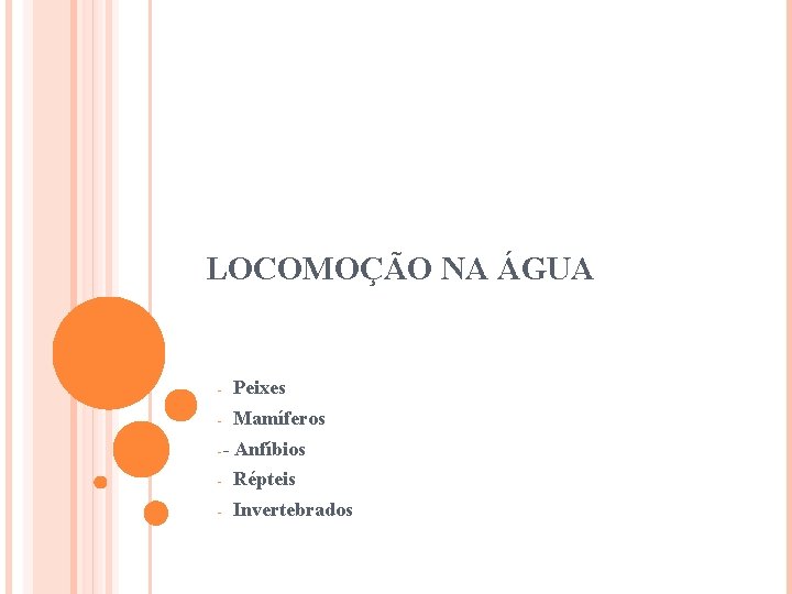 LOCOMOÇÃO NA ÁGUA - Peixes - Mamíferos -- Anfíbios - Répteis - Invertebrados 