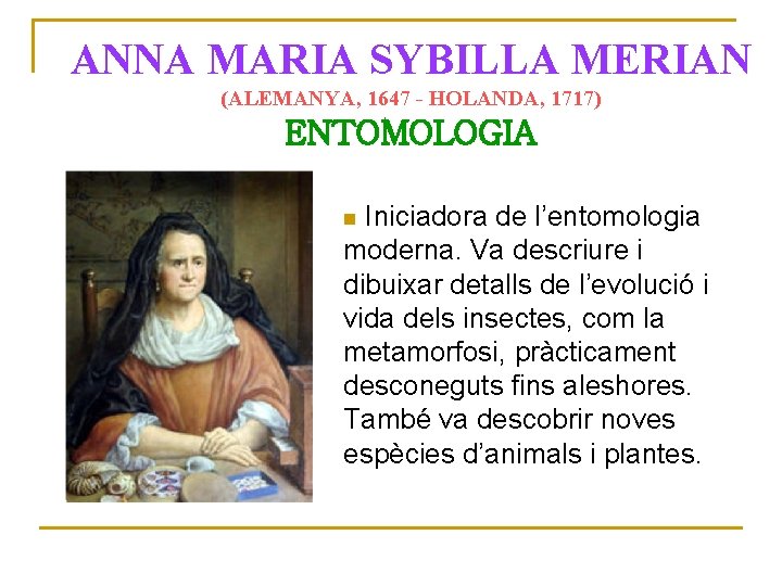 ANNA MARIA SYBILLA MERIAN (ALEMANYA, 1647 - HOLANDA, 1717) ENTOMOLOGIA Iniciadora de l’entomologia moderna.