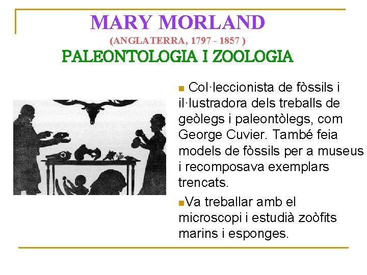 MARY MORLAND (ANGLATERRA, 1797 - 1857 ) PALEONTOLOGIA I ZOOLOGIA Col·leccionista de fòssils i