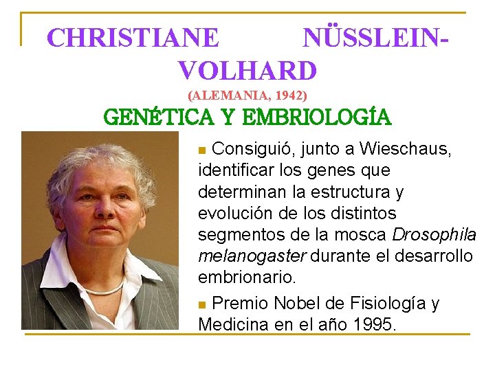 CHRISTIANE NÜSSLEINVOLHARD (ALEMANIA, 1942) GENÉTICA Y EMBRIOLOGÍA Consiguió, junto a Wieschaus, identificar los genes