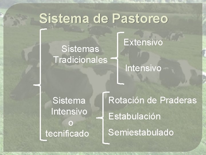 Sistema de Pastoreo Sistemas Tradicionales Sistema Intensivo o tecnificado Extensivo Intensivo Rotación de Praderas