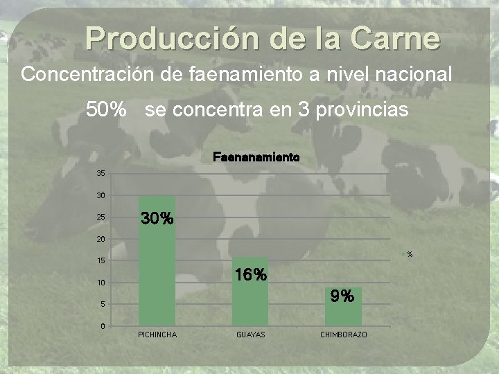 Producción de la Carne Concentración de faenamiento a nivel nacional 50% se concentra en