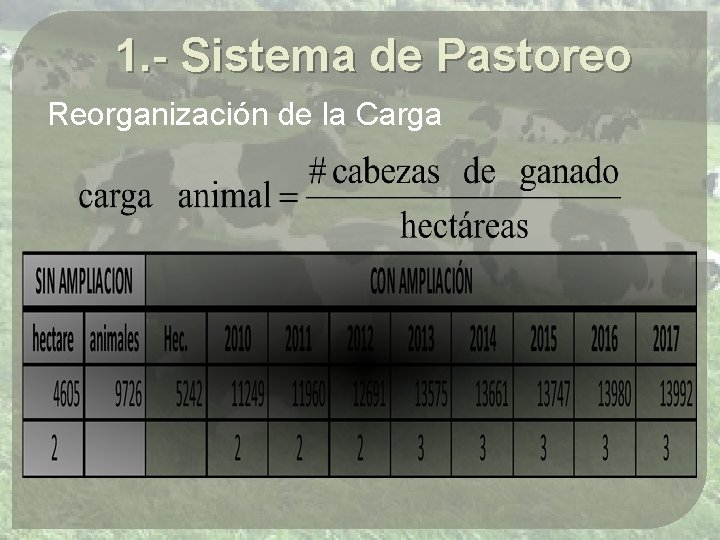 1. - Sistema de Pastoreo Reorganización de la Carga 