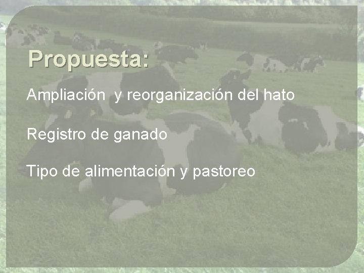 Propuesta: Ampliación y reorganización del hato Registro de ganado Tipo de alimentación y pastoreo