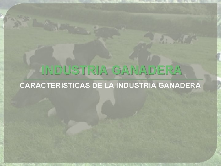 INDUSTRIA GANADERA CARACTERISTICAS DE LA INDUSTRIA GANADERA 
