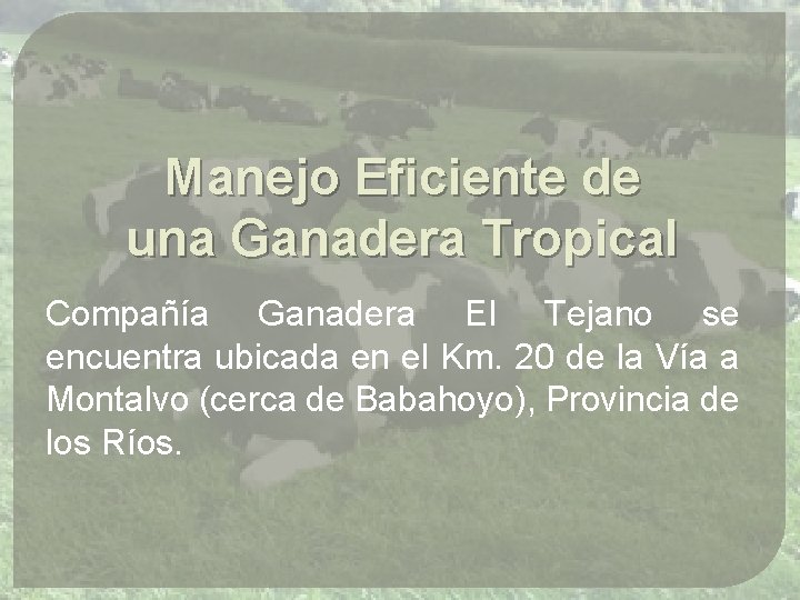 Manejo Eficiente de una Ganadera Tropical Compañía Ganadera El Tejano se encuentra ubicada en