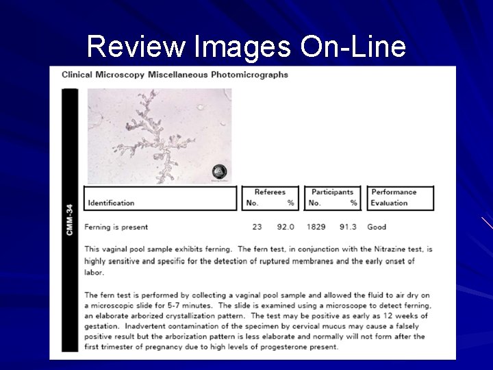 Review Images On-Line 