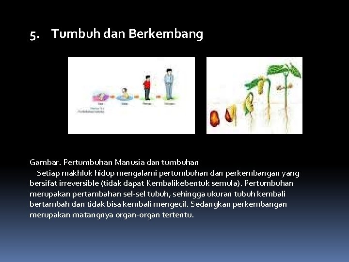 5. Tumbuh dan Berkembang Gambar. Pertumbuhan Manusia dan tumbuhan Setiap makhluk hidup mengalami pertumbuhan