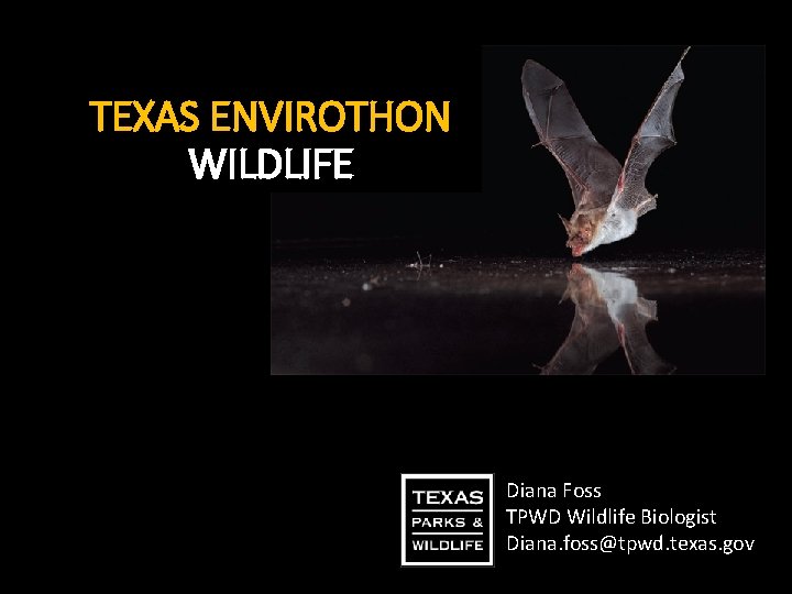 TEXAS ENVIROTHON WILDLIFE Diana Foss TPWD Wildlife Biologist Diana. foss@tpwd. texas. gov 