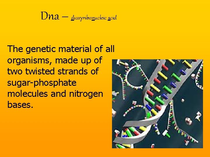 Dna – dioxyribonucleic acid The genetic material of all organisms, made up of two