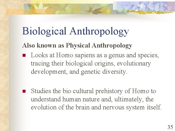 Biological Anthropology Also known as Physical Anthropology n Looks at Homo sapiens as a