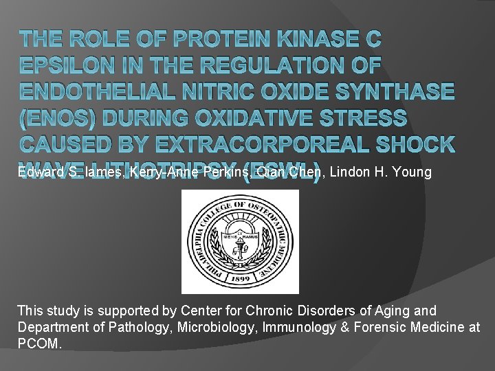 THE ROLE OF PROTEIN KINASE C EPSILON IN THE REGULATION OF ENDOTHELIAL NITRIC OXIDE