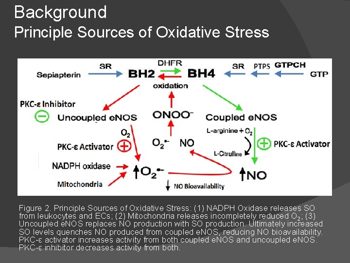 Background Principle Sources of Oxidative Stress Figure 2. Principle Sources of Oxidative Stress: (1)