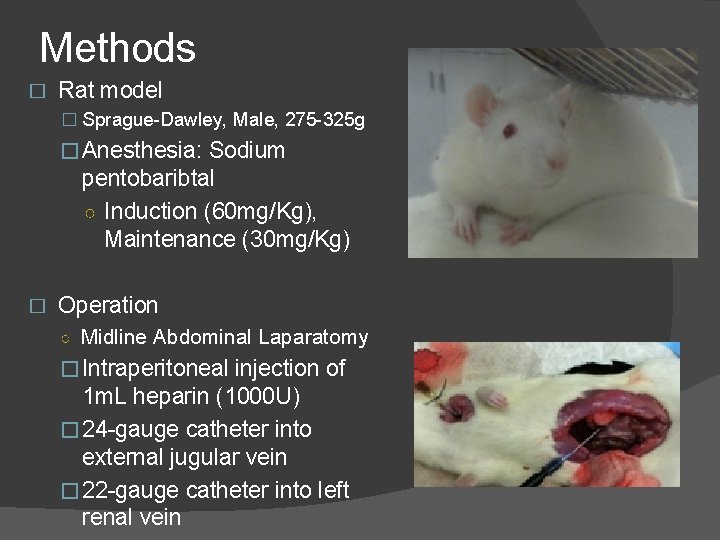 Methods � Rat model � Sprague-Dawley, Male, 275 -325 g �Anesthesia: Sodium pentobaribtal ○