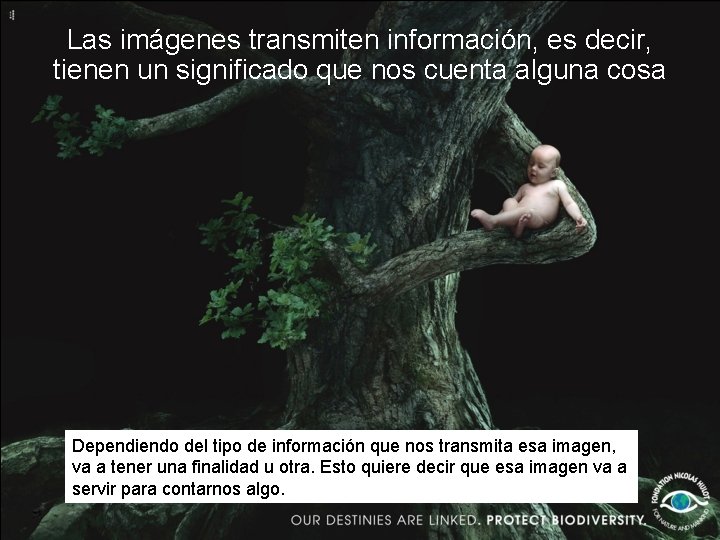 Las imágenes transmiten información, es decir, tienen un significado que nos cuenta alguna cosa