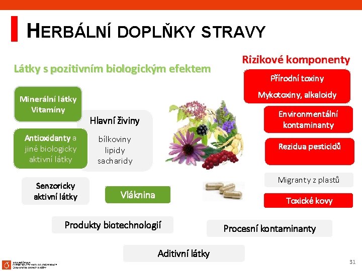 HERBÁLNÍ DOPLŇKY STRAVY Látky s pozitivním biologickým efektem Minerální látky Vitamíny Antioxidanty a jiné