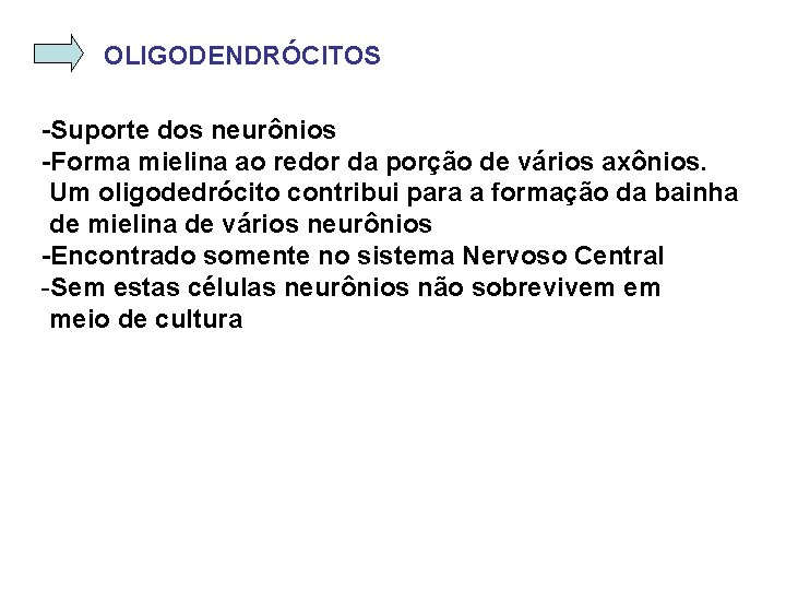 OLIGODENDRÓCITOS -Suporte dos neurônios -Forma mielina ao redor da porção de vários axônios. Um