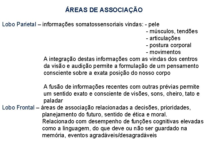 ÁREAS DE ASSOCIAÇÃO Lobo Parietal – informações somatossensoriais vindas: - pele - músculos, tendões