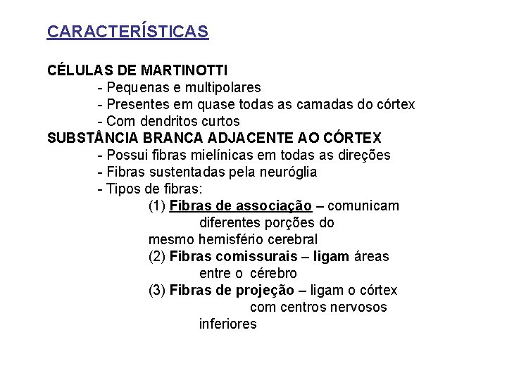 CARACTERÍSTICAS CÉLULAS DE MARTINOTTI - Pequenas e multipolares - Presentes em quase todas as