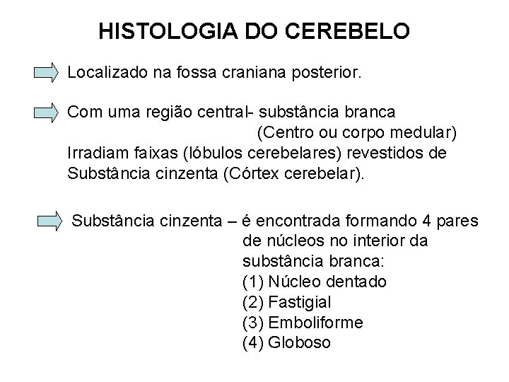 HISTOLOGIA DO CEREBELO Localizado na fossa craniana posterior. Com uma região central- substância branca