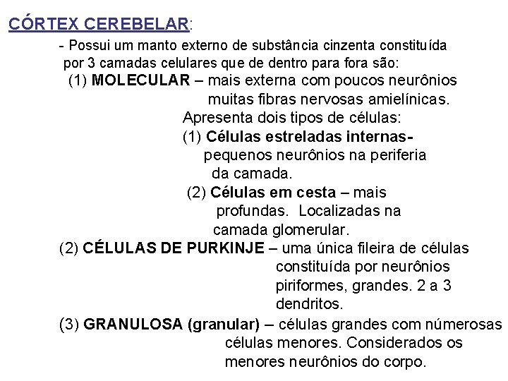 CÓRTEX CEREBELAR: - Possui um manto externo de substância cinzenta constituída por 3 camadas