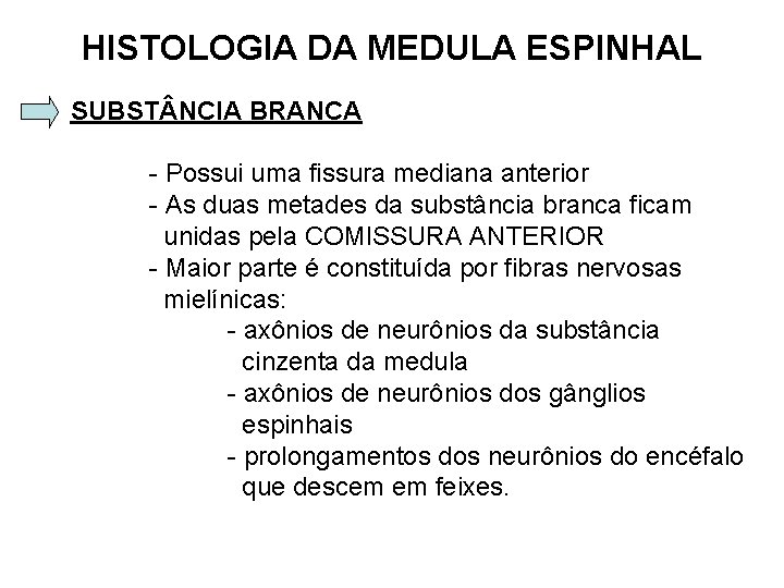 HISTOLOGIA DA MEDULA ESPINHAL SUBST NCIA BRANCA - Possui uma fissura mediana anterior -