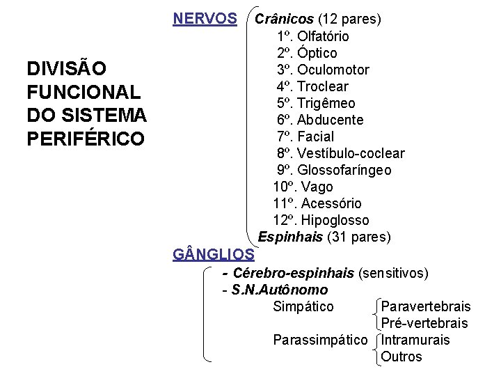 NERVOS Crânicos (12 pares) DIVISÃO FUNCIONAL DO SISTEMA PERIFÉRICO 1º. Olfatório 2º. Óptico 3º.