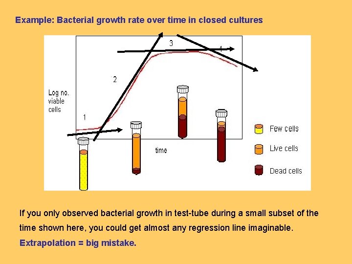 Example: Bacterial growth rate over time in closed cultures If you only observed bacterial