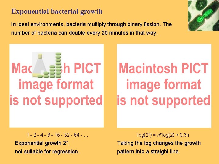 Exponential bacterial growth In ideal environments, bacteria multiply through binary fission. The number of