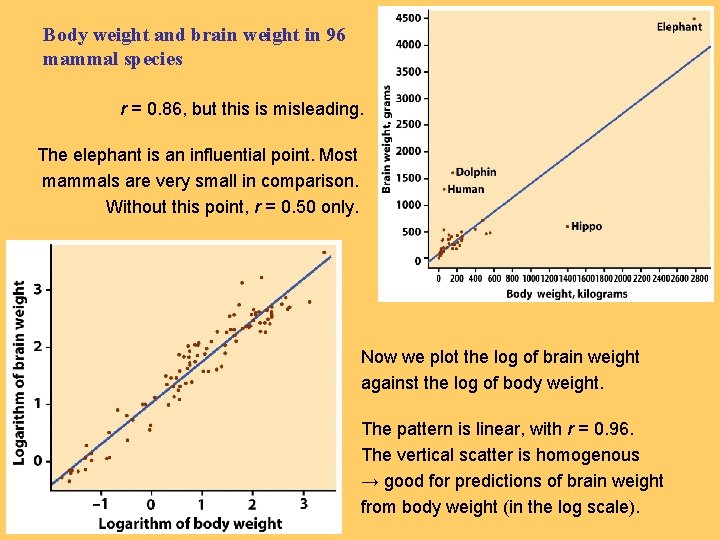 Body weight and brain weight in 96 mammal species r = 0. 86, but