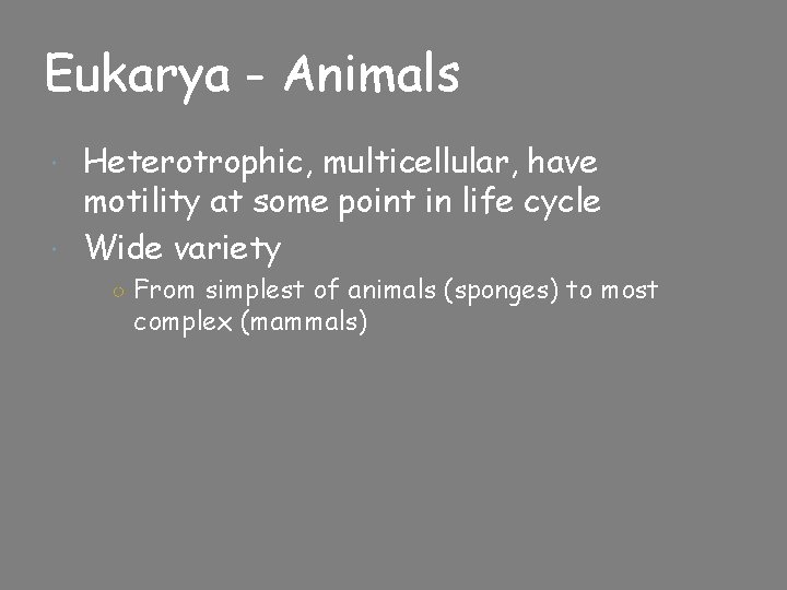 Eukarya - Animals Heterotrophic, multicellular, have motility at some point in life cycle Wide