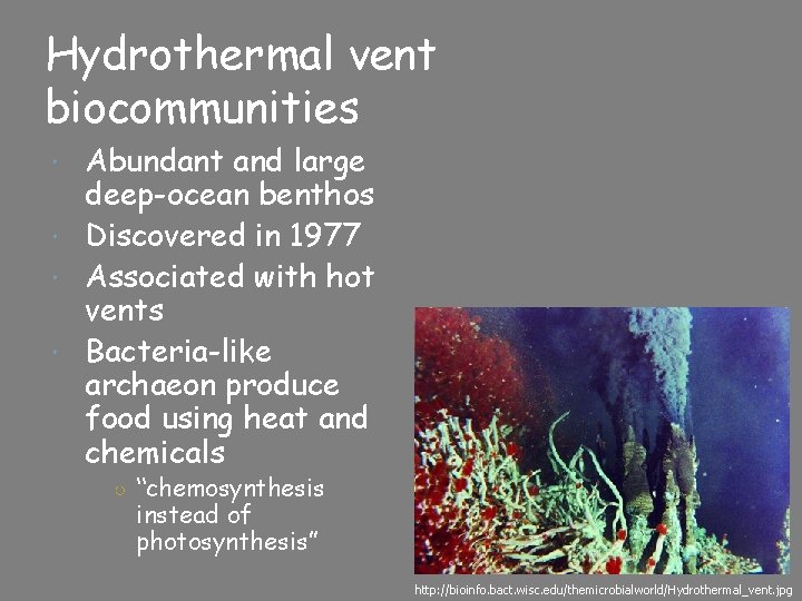 Hydrothermal vent biocommunities Abundant and large deep-ocean benthos Discovered in 1977 Associated with hot