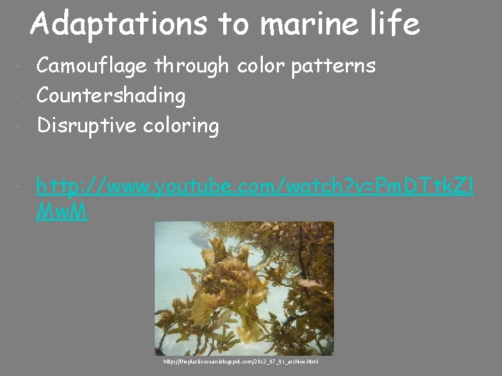 Adaptations to marine life Camouflage through color patterns Countershading Disruptive coloring http: //www. youtube.