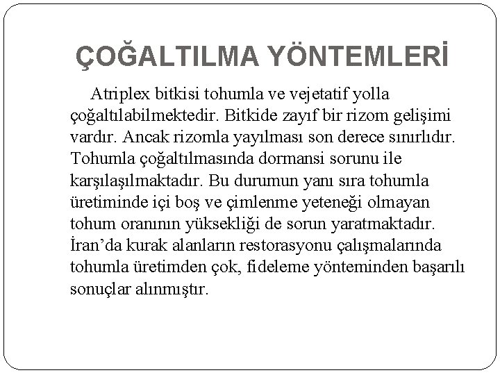 ÇOĞALTILMA YÖNTEMLERİ Atriplex bitkisi tohumla ve vejetatif yolla çoğaltılabilmektedir. Bitkide zayıf bir rizom gelişimi ÇOĞALTILMA YÖNTEMLERİ Atriplex bitkisi tohumla ve vejetatif yolla çoğaltılabilmektedir. Bitkide zayıf bir rizom gelişimi
