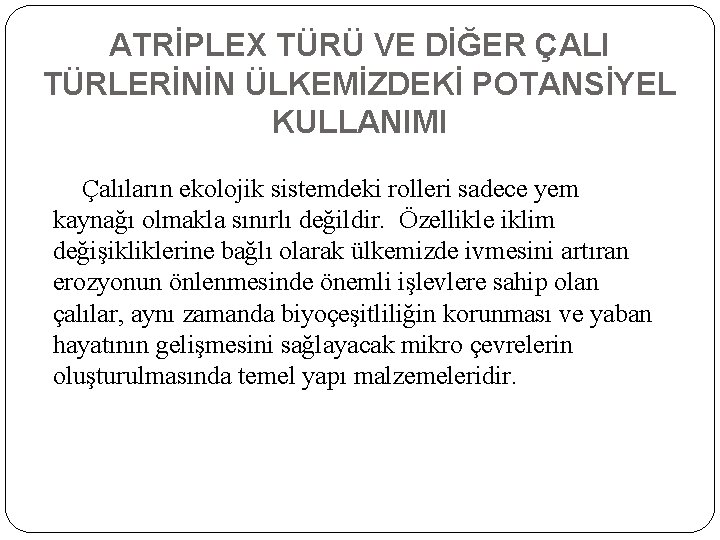 ATRİPLEX TÜRÜ VE DİĞER ÇALI TÜRLERİNİN ÜLKEMİZDEKİ POTANSİYEL KULLANIMI Çalıların ekolojik sistemdeki rolleri sadece ATRİPLEX TÜRÜ VE DİĞER ÇALI TÜRLERİNİN ÜLKEMİZDEKİ POTANSİYEL KULLANIMI Çalıların ekolojik sistemdeki rolleri sadece