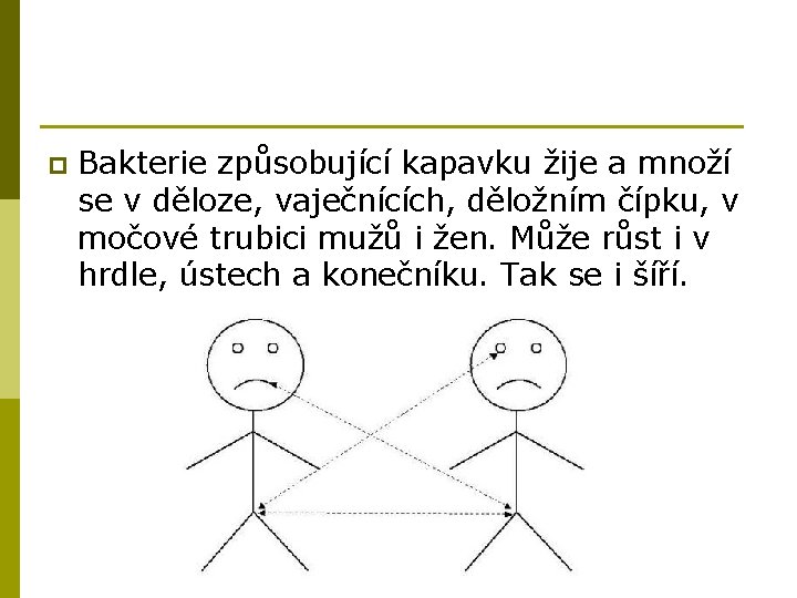 p Bakterie způsobující kapavku žije a množí se v děloze, vaječnících, děložním čípku, v