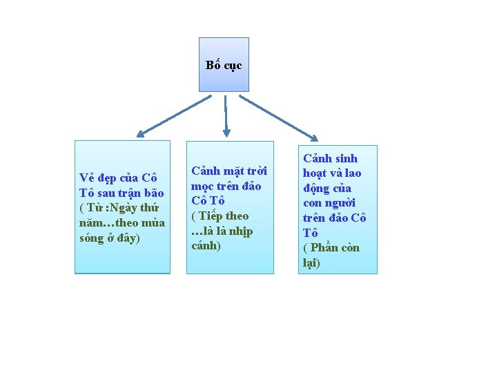 Bố cục Vẻ đẹp của Cô Cô Tô Tô sausau trận bãobão ( Từ