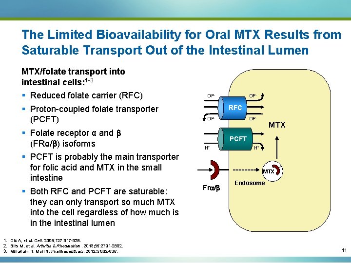 The Limited Bioavailability for Oral MTX Results from Saturable Transport Out of the Intestinal