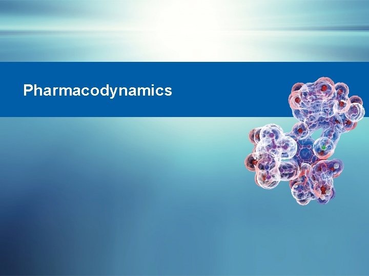 Pharmacodynamics 