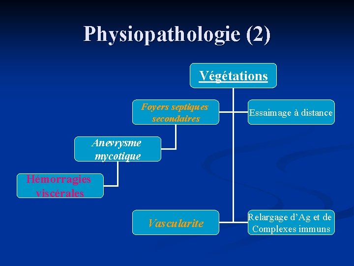 Physiopathologie (2) Végétations Foyers septiques secondaires Essaimage à distance Anevrysme mycotique Hémorragies viscérales Vascularite